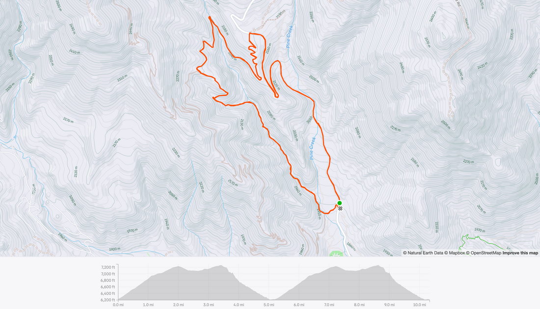 Conquer the Descent: A Quick Guide to Midway, Utah's Most Technical MTB Trail / WHOA!